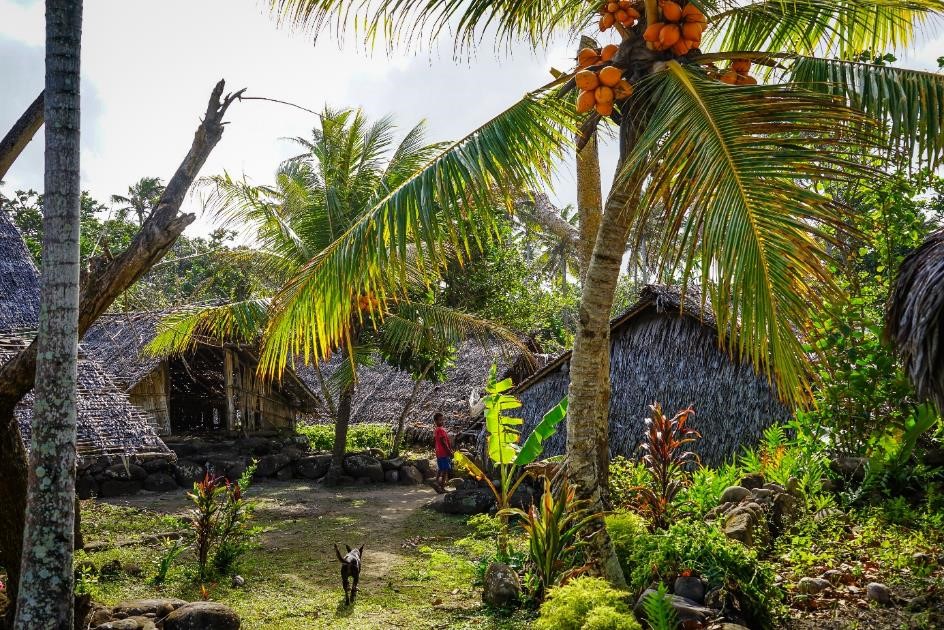 Levolvol village, Vanatu (photo credit: Danny Nef/ETH Zurich)