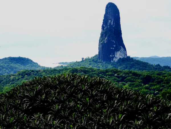São Tomé unique landscape features and biodiversity, on the brink of sudden change due to human pressure and development.