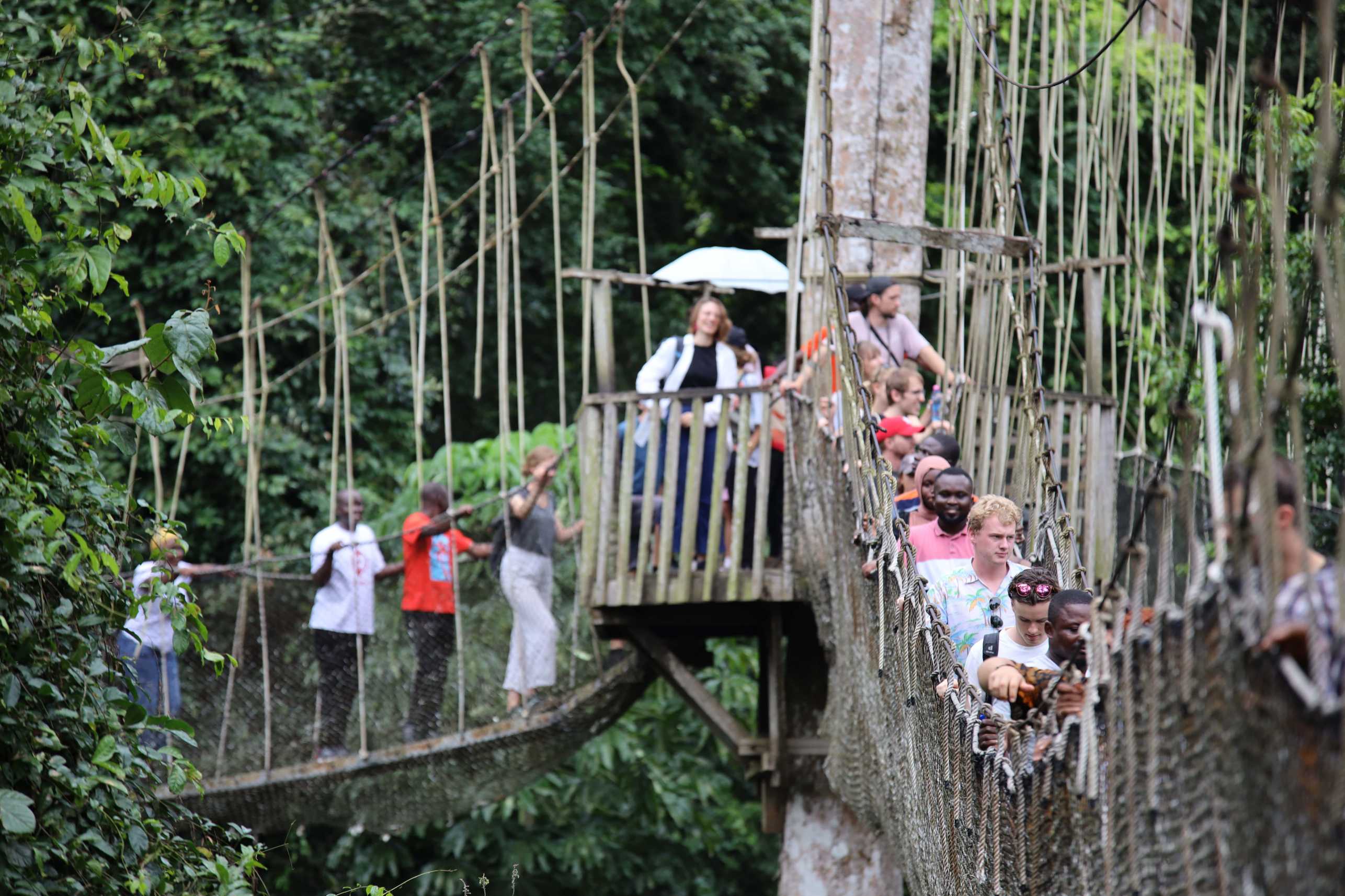 During an excursion to Kakum National Park, the students were able to test their head for heights on a canopy walk.