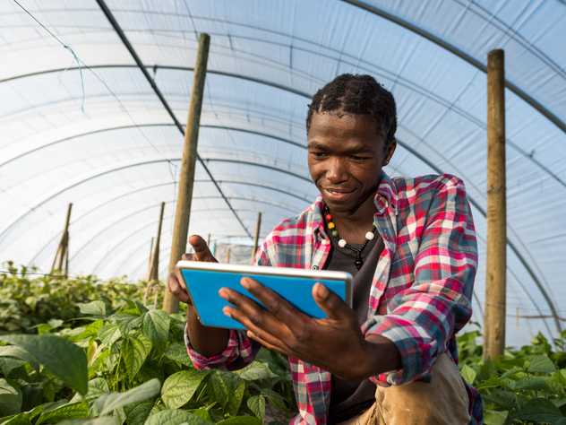 Man in greenhouse with iPad